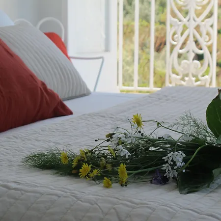 Antonio Oda ve Kahvaltı 4*