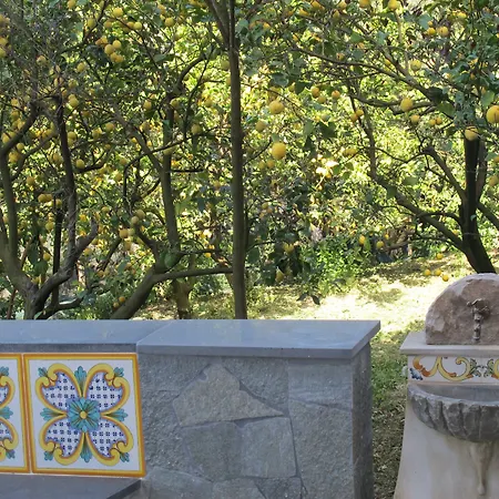 Antonio Massa Lubrense