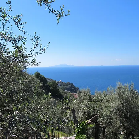 Oda ve Kahvaltı Antonio 4*