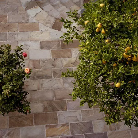 Oda ve Kahvaltı Antonio